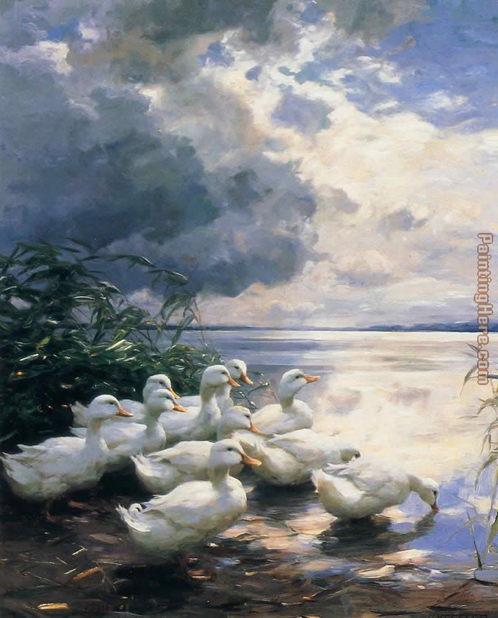 Ducks in the Morning painting - Alexander Koester Ducks in the Morning art painting